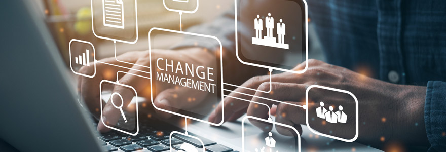 manager de transition